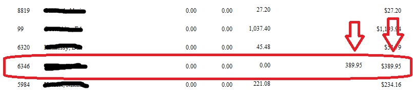credit bal and invoice balance.jpg